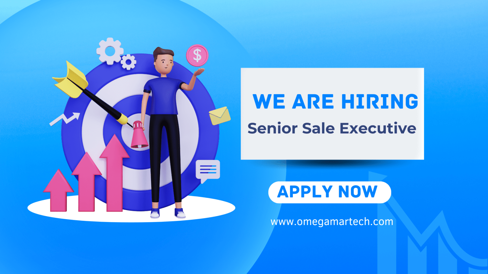 senior Sale executive