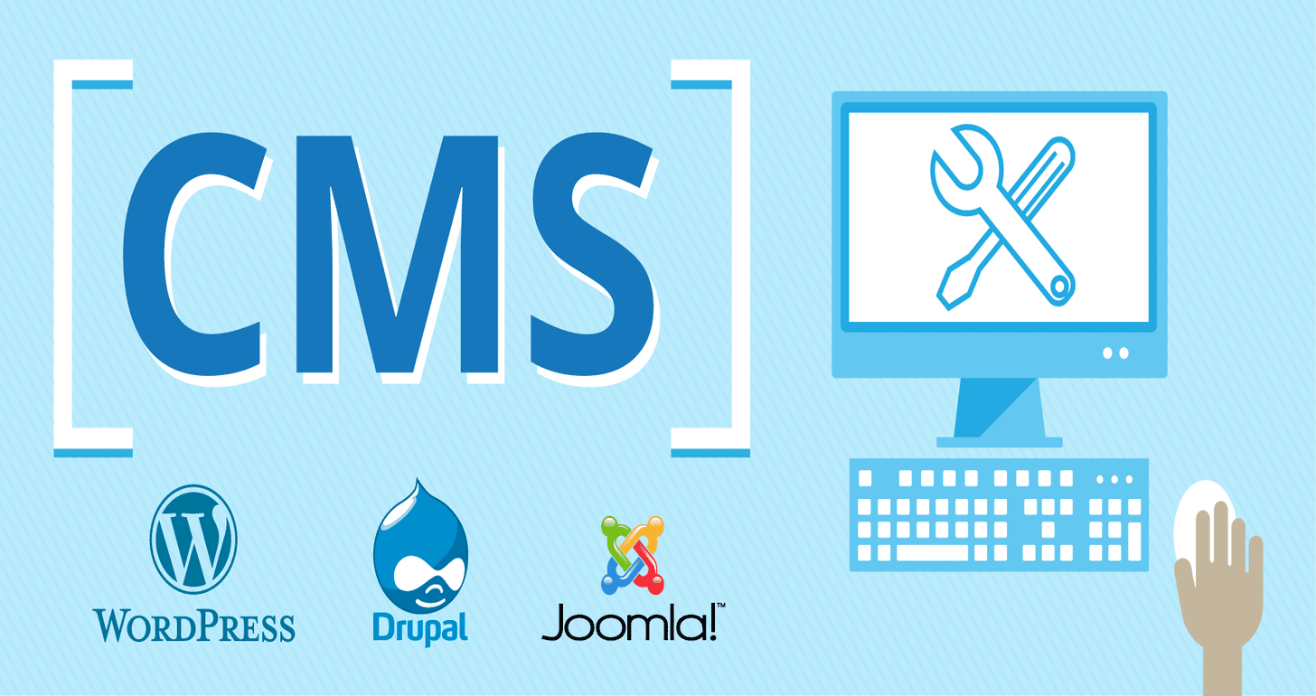 doanh-nghiep-co-can-cms-khong