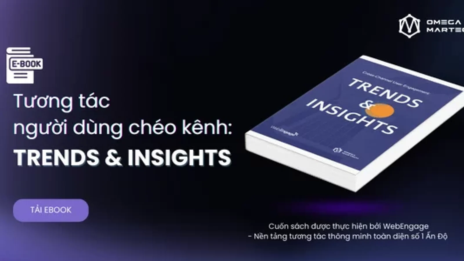 Email Trends and Insights (3)